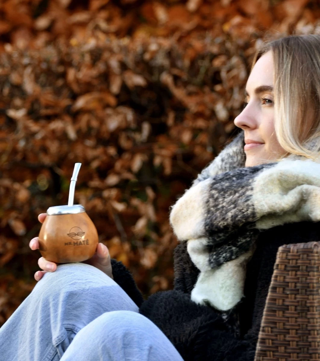 Yerba Mate Starterspakket Compleet - Traditionele Kalebas + Bombilla - Original Maté 150g 6 Yerba Mate Starterspakket Compleet - Traditionele Kalebas + Bombilla - Original Maté 150g - Afbeelding 4