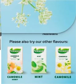 Pickwick Sterrenmunt Kruidenthee - 4 X 20 Zakjes -Eten En Drinken 1091x1200 3
