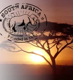 Soolong South Africa Nr40 Rooibos Cadeau Of Proefpakket Met Vier Luxe Theeen - Losse Rooibos & Honeybush - Ideaal Als Relatiegeschenk, Proeverij Of Met Valentijnsdag - Assortiment 4stuks -Eten En Drinken 1096x1200