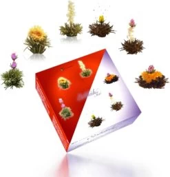 Creano Theebloemen Geschenkset Kadoverpakking Theebloemen En Glazen Theekan - Witte Theebloemen En Zwarte Theebloemen (6 Stuks) -Eten En Drinken 1155x1200 1