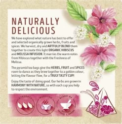 Lipton Hibiscus & Melissa Kruidenthee, Met De Zoete Smaak Van Hibiscus En De Frisse Smaak Van Melissa - 4 X 20 Zakjes - PL-EKO-03 -Eten En Drinken 1175x1200 2