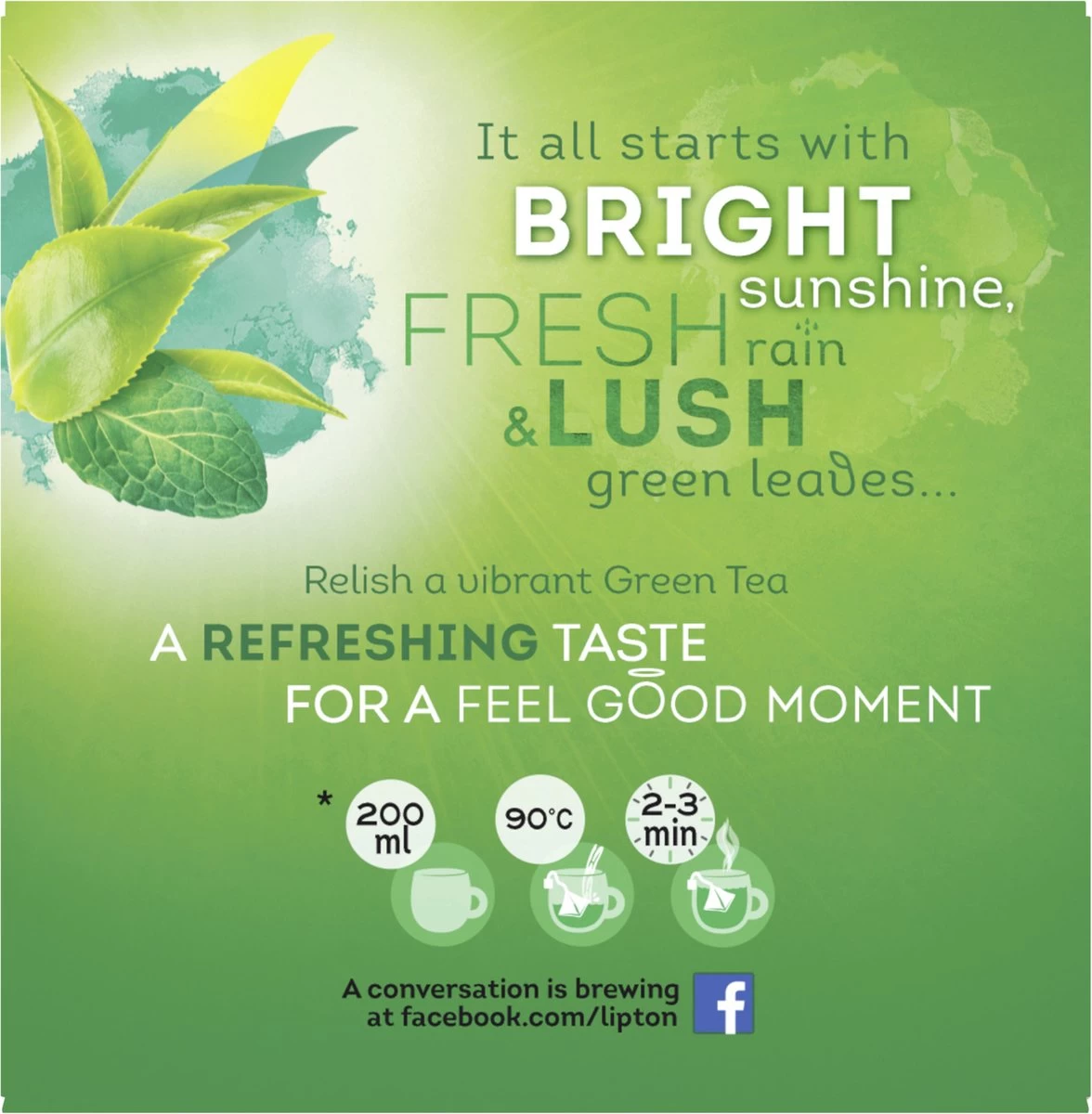 Lipton Intense Mint Groene Thee, Met De Verfrissende Smaak Van Groene Thee En Echte Muntblaadjes - 4 X 20 Zakjes - PL-EKO-03 5 Lipton Intense Mint Groene Thee, Met De Verfrissende Smaak Van Groene Thee En Echte Muntblaadjes - 4 X 20 Zakjes - PL-EKO-03 - Afbeelding 3