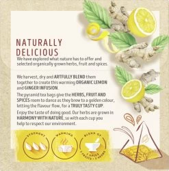 Lipton Ginger & Lemon Kruidenthee, Met De Vurige Smaak Van Gember En Frisheid Van Citroen - 4 X 20 Zakjes - PL-EKO-03 -Eten En Drinken 1187x1200 1