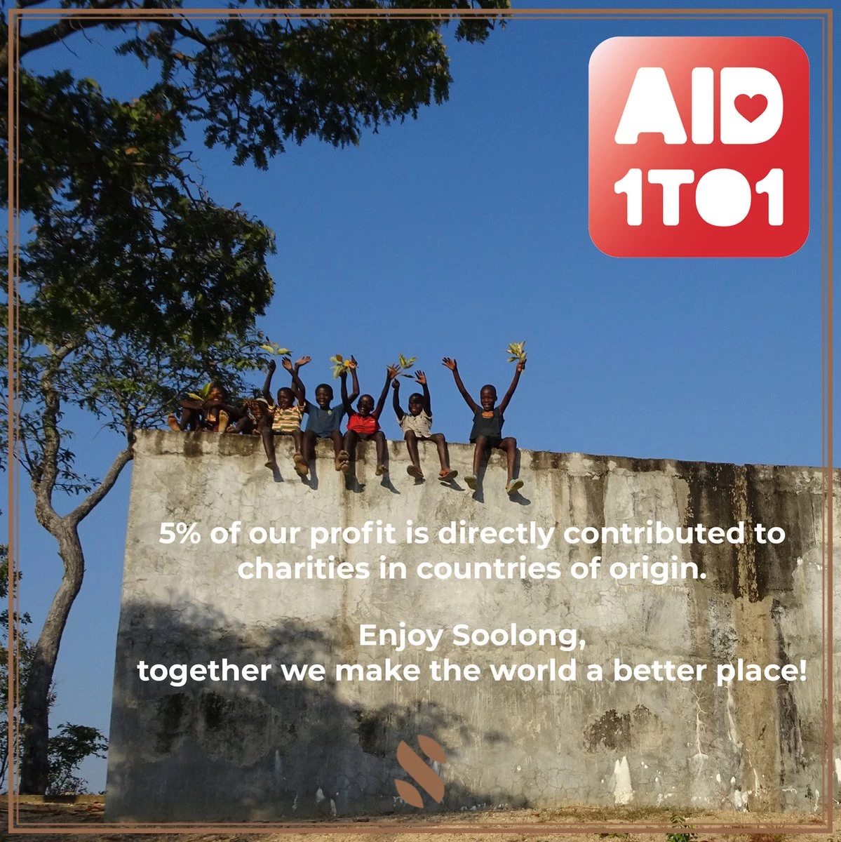 Soolong Sense China Nr11 Gember Thee - Verkwikkend & Krachtig - Gember & Citroengras - Duurzame Losse Thee - Premium Kruidenthee Uit China - Blik 25gram 11 Soolong Sense China Nr11 Gember Thee - Verkwikkend & Krachtig - Gember & Citroengras - Duurzame Losse Thee - Premium Kruidenthee Uit China - Blik 25gram - Afbeelding 9