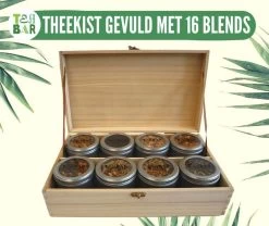 Houten Theekist Gevulde Theedoos Met 16 Blikjes Tea Bar Thee Theecadeau - Losse Thee G - 50 Koppen Per 100 Gram 12 Houten Theekist Gevulde Theedoos Met 16 Blikjes Tea Bar Thee Theecadeau - Losse Thee G - 50 Koppen Per 100 Gram -Eten En Drinken 1200x1010
