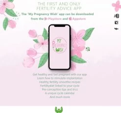 Biologische Innesteling Thee, Zwanger Worden, Innesteling Bevorderen, Innesteling Stimuleren, Vruchtbaarheid Verbeteren, Fertiliteit, IVF, ICSI, IUI, Ontspannen Baarmoeder, Warmte, Bloedcirculatie, Hormoonbalans -Eten En Drinken 1200x1125