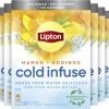 Lipton Cold Infuse Rooibos & Mango, Smaak Voor Koud Water Zonder Suiker En Calorieën - 6 X 10 Zakjes - NL-BIO-01 -Eten En Drinken 1200x1133
