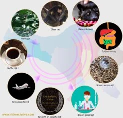 Kopi Luwak Koffie. 35 Gram Ongemalen Bonen. Direct Trade. Single Origin. The Original By Rich.Exclusive. -Eten En Drinken 1200x1153 1