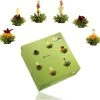 Creano Theebloemen Pakket Groene Thee - Fruitsmaken - 6 Stuks - -Eten En Drinken 1200x1170
