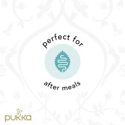 Pukka Three Mint Thee, Met Pepermunt, Groene Munt En Veldmunt - 4 X 20 Zakjes - GB-BIO-05 -Eten En Drinken 1200x1200 105