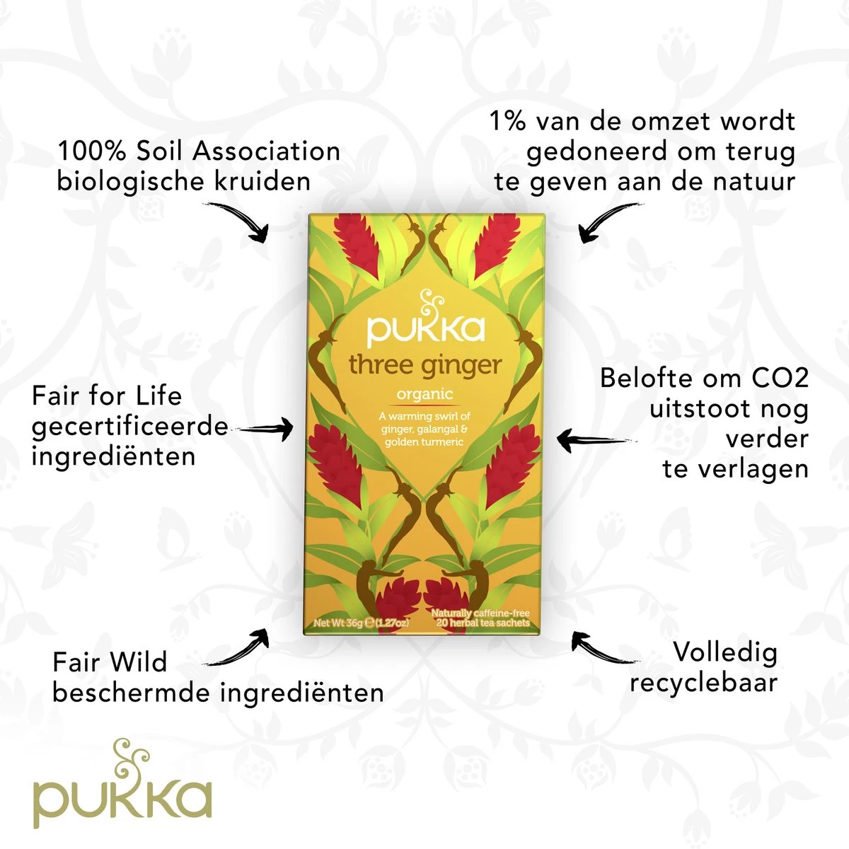 Pukka Three Ginger Thee, Met Kurkuma, Gember En Galangawortel - 4 X 20 Zakjes - GB-BIO-05 7 Pukka Three Ginger Thee, Met Kurkuma, Gember En Galangawortel - 4 X 20 Zakjes - GB-BIO-05 - Afbeelding 5