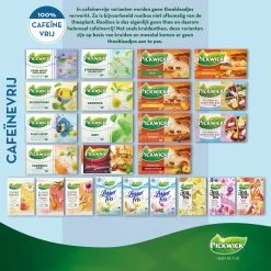 Pickwick Sterrenmunt Kruidenthee - 4 X 20 Zakjes -Eten En Drinken 1200x1200 131