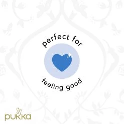 Pukka Feel New Thee, Met Anijs- En Venkelzaad - 4 X 20 Zakjes - GB-BIO-05 -Eten En Drinken 1200x1200 147