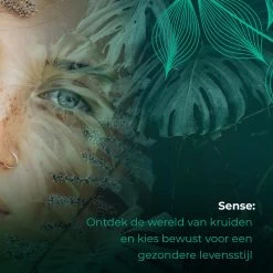 Soolong Sense China Nr11 Gember Thee - Verkwikkend & Krachtig - Gember & Citroengras - Duurzame Losse Thee - Premium Kruidenthee Uit China - Blik 25gram 17 Soolong Sense China Nr11 Gember Thee - Verkwikkend & Krachtig - Gember & Citroengras - Duurzame Losse Thee - Premium Kruidenthee Uit China - Blik 25gram -Eten En Drinken 1200x1200 148