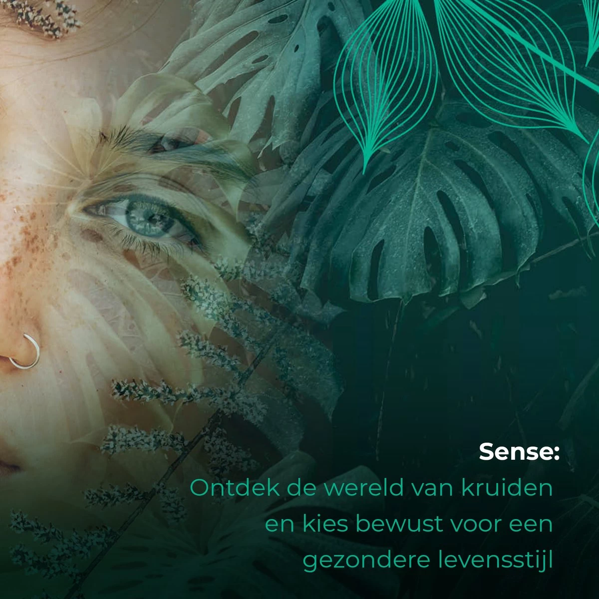 Soolong Sense China Nr11 Gember Thee - Verkwikkend & Krachtig - Gember & Citroengras - Duurzame Losse Thee - Premium Kruidenthee Uit China - Blik 25gram 5 Soolong Sense China Nr11 Gember Thee - Verkwikkend & Krachtig - Gember & Citroengras - Duurzame Losse Thee - Premium Kruidenthee Uit China - Blik 25gram - Afbeelding 3