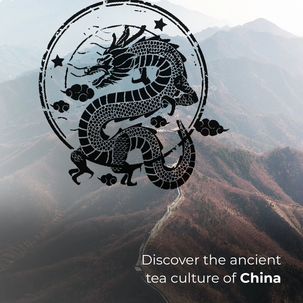 Soolong Sense China Nr11 Gember Thee - Verkwikkend & Krachtig - Gember & Citroengras - Duurzame Losse Thee - Premium Kruidenthee Uit China - Blik 25gram 7 Soolong Sense China Nr11 Gember Thee - Verkwikkend & Krachtig - Gember & Citroengras - Duurzame Losse Thee - Premium Kruidenthee Uit China - Blik 25gram - Afbeelding 5