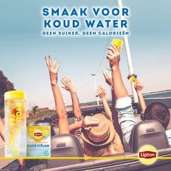 Lipton Cold Infuse Lemon & Camomile, Smaak Voor Koud Water Zonder Suiker En Calorieën - 6 X 10 Zakjes - NL-BIO-01 14 Lipton Cold Infuse Lemon & Camomile, Smaak Voor Koud Water Zonder Suiker En Calorieën - 6 X 10 Zakjes - NL-BIO-01 -Eten En Drinken 1200x1200 251