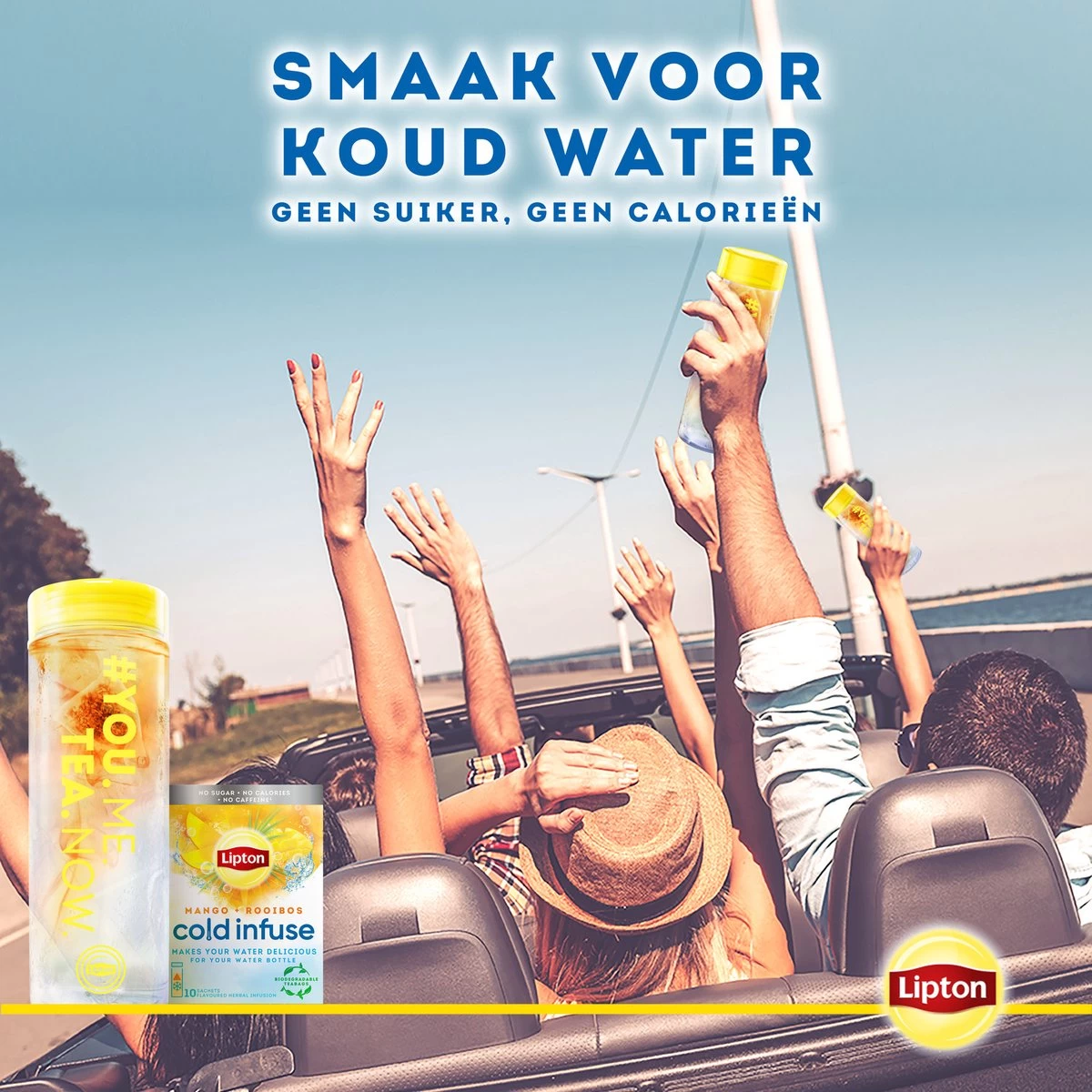 Lipton Cold Infuse Lemon & Camomile, Smaak Voor Koud Water Zonder Suiker En Calorieën - 6 X 10 Zakjes - NL-BIO-01 8 Lipton Cold Infuse Lemon & Camomile, Smaak Voor Koud Water Zonder Suiker En Calorieën - 6 X 10 Zakjes - NL-BIO-01 - Afbeelding 6