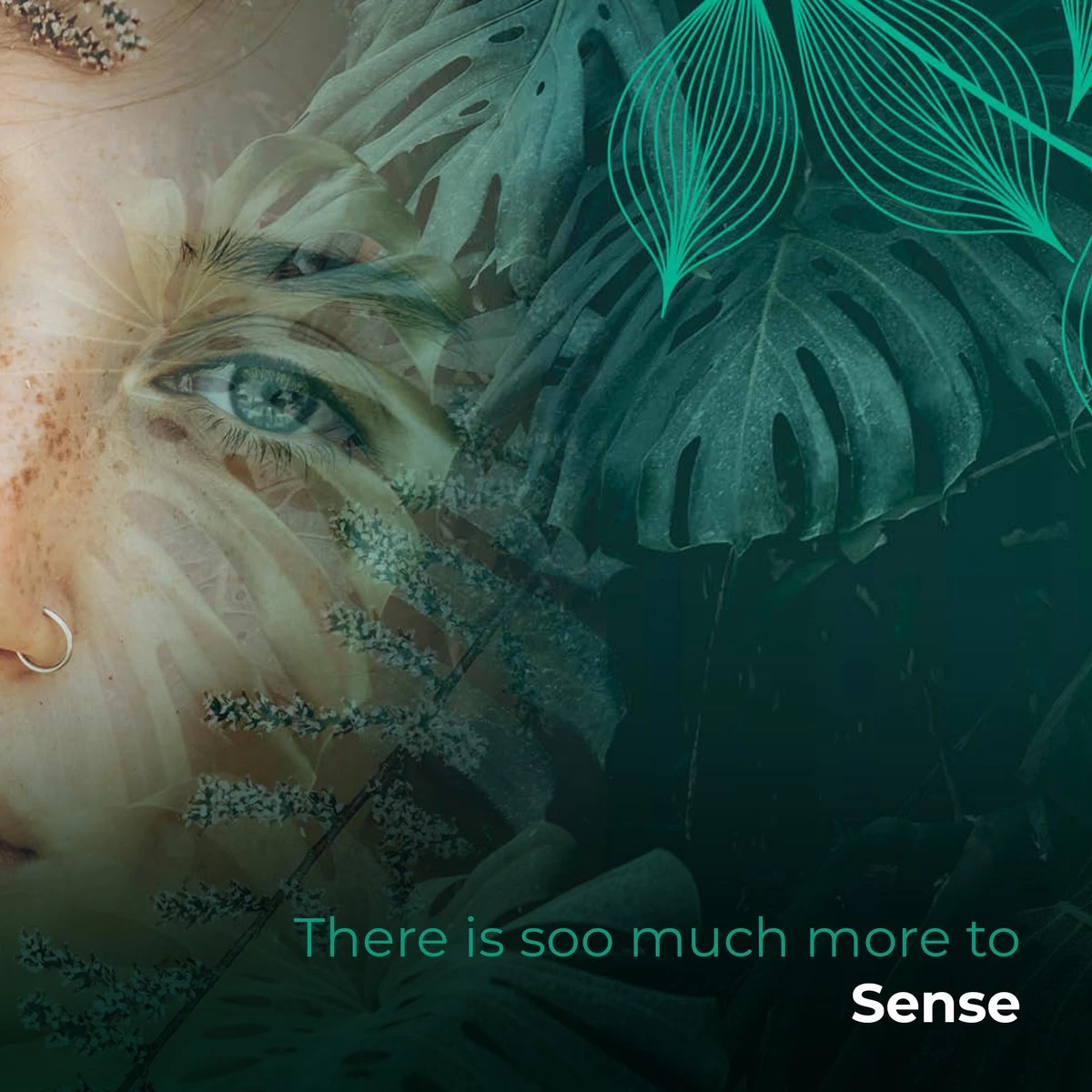 Soolong Sense Oost Timor Nr1000 Koffiebonen Smooth Lacau - Speciality Koffie Arabica Medium Roast Met Rijke Kruidige Smaak Met Heerlijke Ondertonen Van Karamel - Zak 250gram 4 Soolong Sense Oost Timor Nr1000 Koffiebonen Smooth Lacau - Speciality Koffie Arabica Medium Roast Met Rijke Kruidige Smaak Met Heerlijke Ondertonen Van Karamel - Zak 250gram - Afbeelding 2