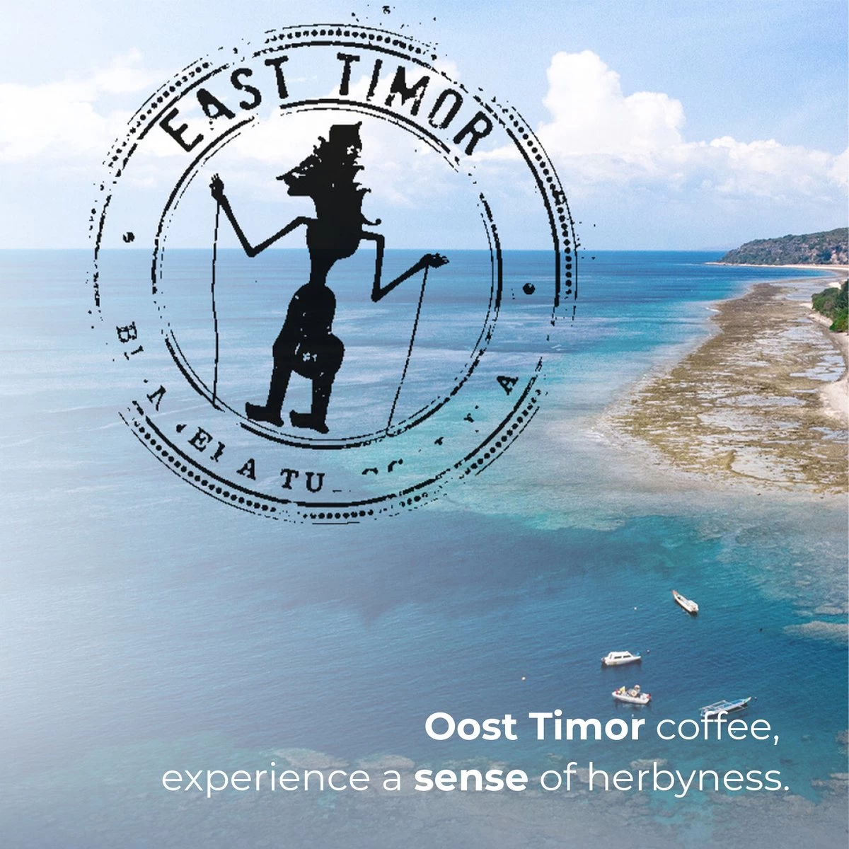 Soolong Sense Oost Timor Nr1000 Koffiebonen Smooth Lacau - Speciality Koffie Arabica Medium Roast Met Rijke Kruidige Smaak Met Heerlijke Ondertonen Van Karamel - Zak 250gram 6 Soolong Sense Oost Timor Nr1000 Koffiebonen Smooth Lacau - Speciality Koffie Arabica Medium Roast Met Rijke Kruidige Smaak Met Heerlijke Ondertonen Van Karamel - Zak 250gram - Afbeelding 4