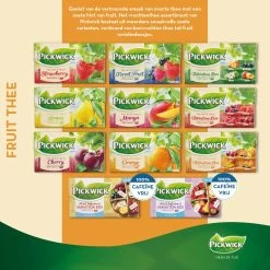 Pickwick Bosvruchten Fruit Thee - 12 X 20 Zakjes -Eten En Drinken 1200x1200 30