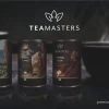 Teamasters Giftbox - Thee Geschenkset - Kerstpakket - Thee - Herbal Chai - Herbal Rooibos - Groene Thee - Perzik - Appel - Kerst - Geschenkset -Eten En Drinken 1200x614