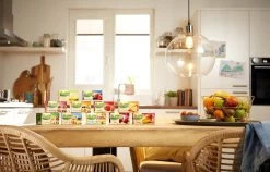 Pickwick Bosvruchten Fruit Thee - 12 X 20 Zakjes -Eten En Drinken 1200x770