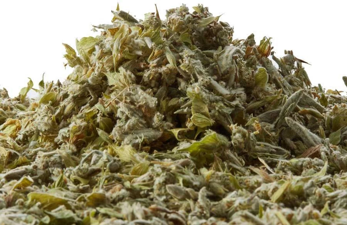 Kruidenthee Griekse Bergthee 3 Kruidenthee Griekse Bergthee