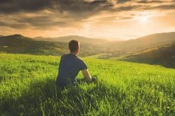 Teamasters Pure, Blends & Specials Mixbox - Gratis RVS Filter - Biologische Losse Thee - Rooibos - Munt - Citroen - Groene Thee - Jasmijn Thee - Zwarte Thee - Gember - Witte Thee - Framboos - Passievrucht - Theedoos - Zomer - Geschenkset -Eten En Drinken 1200x799 8