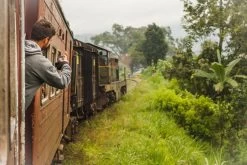 Teamasters Pure & Blends Mixbox - 6 X 60 Gram - Biologische Losse Thee - Rooibos Thee - Munt Thee - Citroen Thee - Groene Thee - Jasmijn Thee - Zwarte Thee - Oolong Thee - IJsthee - Zomer -Eten En Drinken 1200x800 41