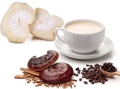 ToshiFarm Lion's Mane En Reishi Koffie - 250 Gram - Biologisch & Fair Trade - Verbetering In Concentratievermogen En Leervermogen - Filterkoffie Met Paddenstoel 17 ToshiFarm Lion's Mane En Reishi Koffie - 250 Gram - Biologisch & Fair Trade - Verbetering In Concentratievermogen En Leervermogen - Filterkoffie Met Paddenstoel -Eten En Drinken 1200x884 1