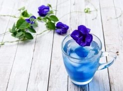 Merkloos Blauwe Vlindererwt Thee - Blue Butterfly Pea Flower Tea - Cafeïnevrije Kruidenthee - Kittelbloem - 20 Gram -Eten En Drinken 1200x886