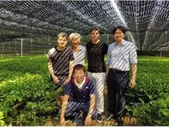 Japanse Premium Matcha Thee - 50 Gram - Inclusief Matcha Klopper - Vol Met Antioxidanten, Vitaminen & Mineralen - Vandaag Besteld, Morgen In Huis! -Eten En Drinken 1200x911 1