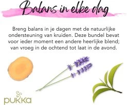 Pukka Day To Night Thee Bundel, Biologische Kruidenthee Voor Elk Moment Van De Dag - 3 X 20 Zakjes - GB-BIO-05 -Eten En Drinken 1200x996 2
