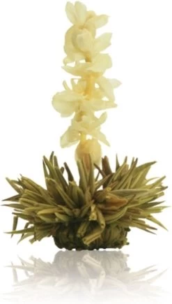 Creano Theebloemen Geschenkset Kadoverpakking Theebloemen En Glazen Theekan - Witte Theebloemen En Zwarte Theebloemen (6 Stuks) -Eten En Drinken 682x1200