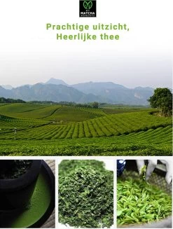 TMomentes® High Quality Culinary MATCHA Thee - Matcha Poeder - Matcha Thee - 100% Organisch Gecertificeerd - 100 Gram -Eten En Drinken 907x1200