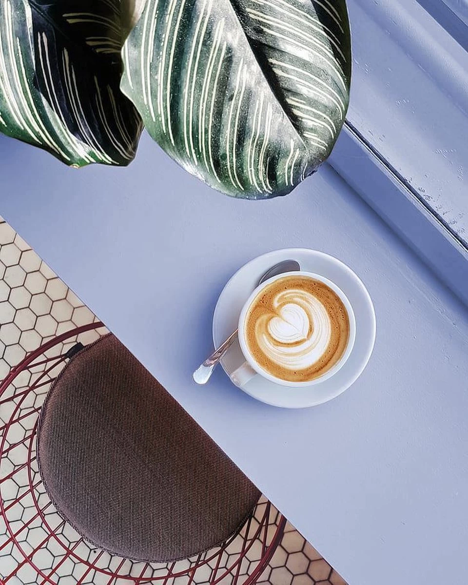 CHALO Prijswinnende Masala Chai Latte - Indische Vegan Chai - Zwarte Assam Thee - 25 Porties/ 300GR 9 CHALO Prijswinnende Masala Chai Latte - Indische Vegan Chai - Zwarte Assam Thee - 25 Porties/ 300GR - Afbeelding 7