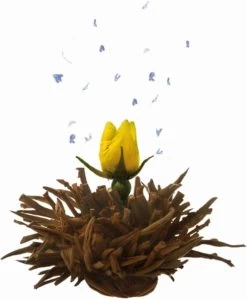 Creano Theebloemen Geschenkset Kadoverpakking Theebloemen En Glazen Theekan - Witte Theebloemen En Zwarte Theebloemen (6 Stuks) -Eten En Drinken 992x1200