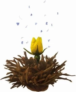 Creano Geschenkset Theebloemen (6 Stuks) En Glazen Theekan 9 Creano Geschenkset Theebloemen (6 Stuks) En Glazen Theekan -Eten En Drinken 994x1200